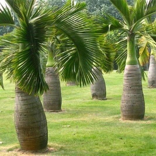 花沅心理咨询疗愈