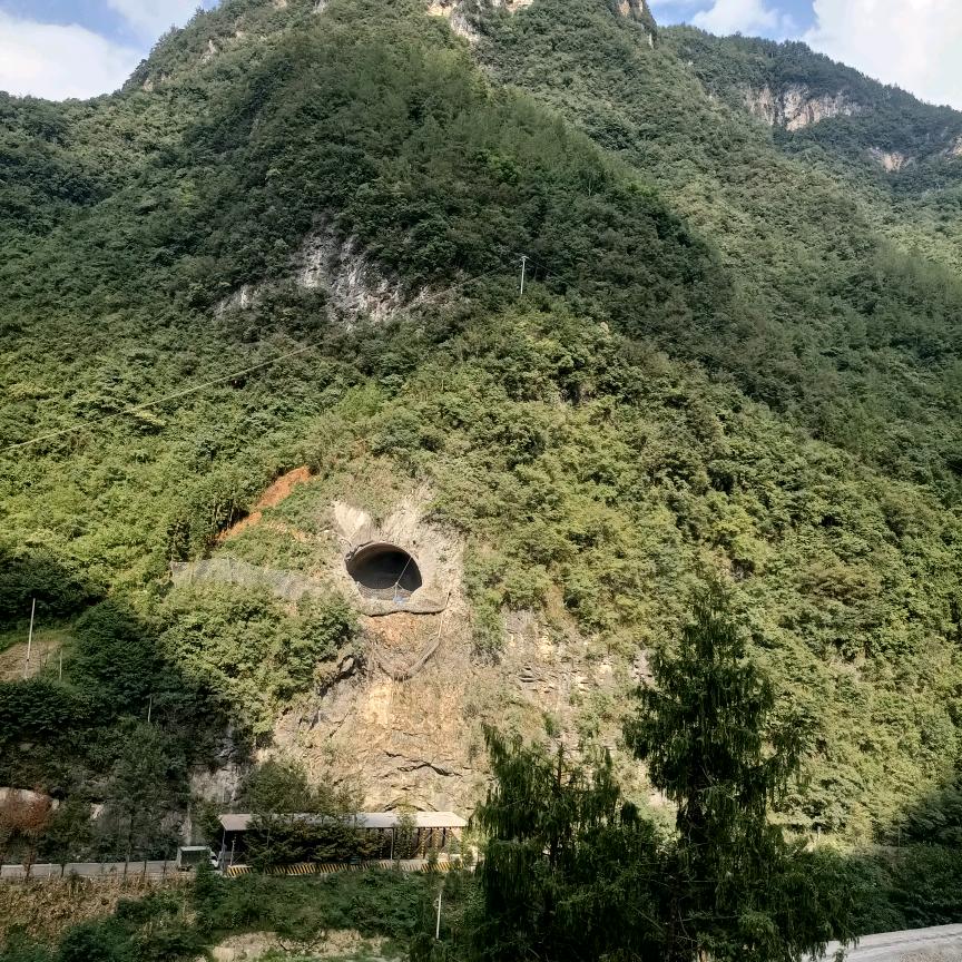 合家欢乐