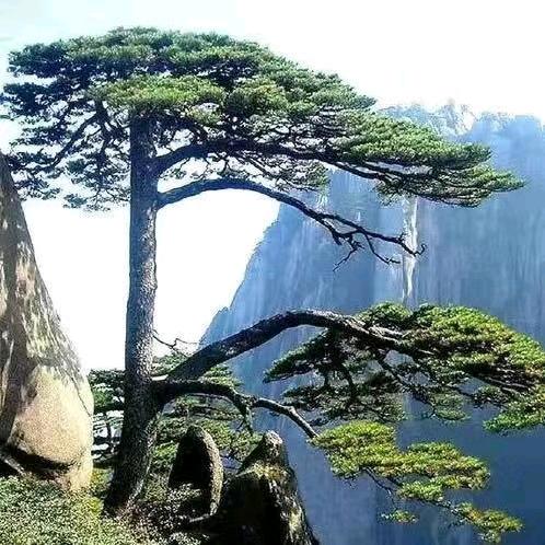 故事缺你。。。