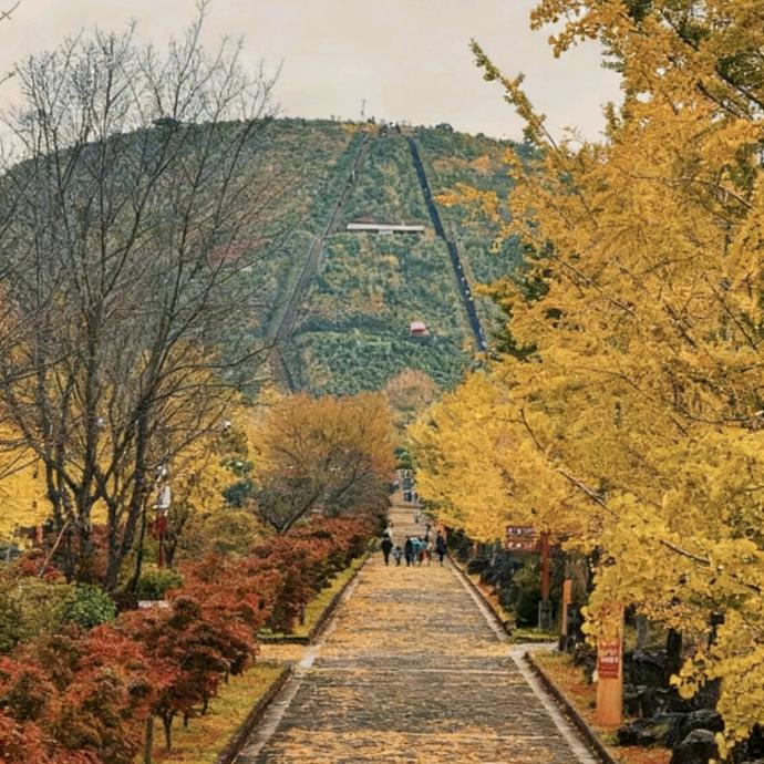 🌿未来💐💐🌷🌹 可期🌾