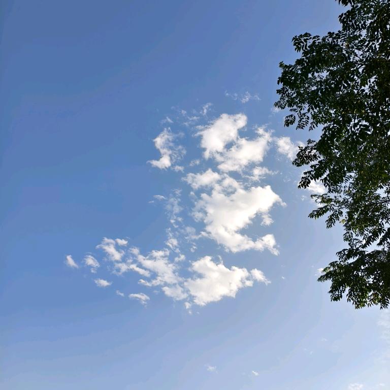 蓝琪儿