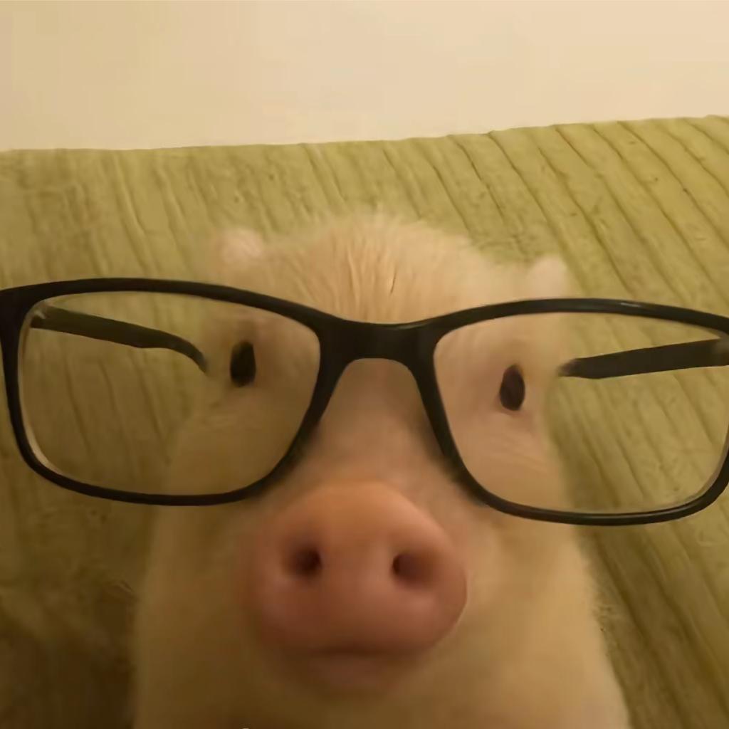 上大厕蹲太久因贫血晕死在厕所无人问津