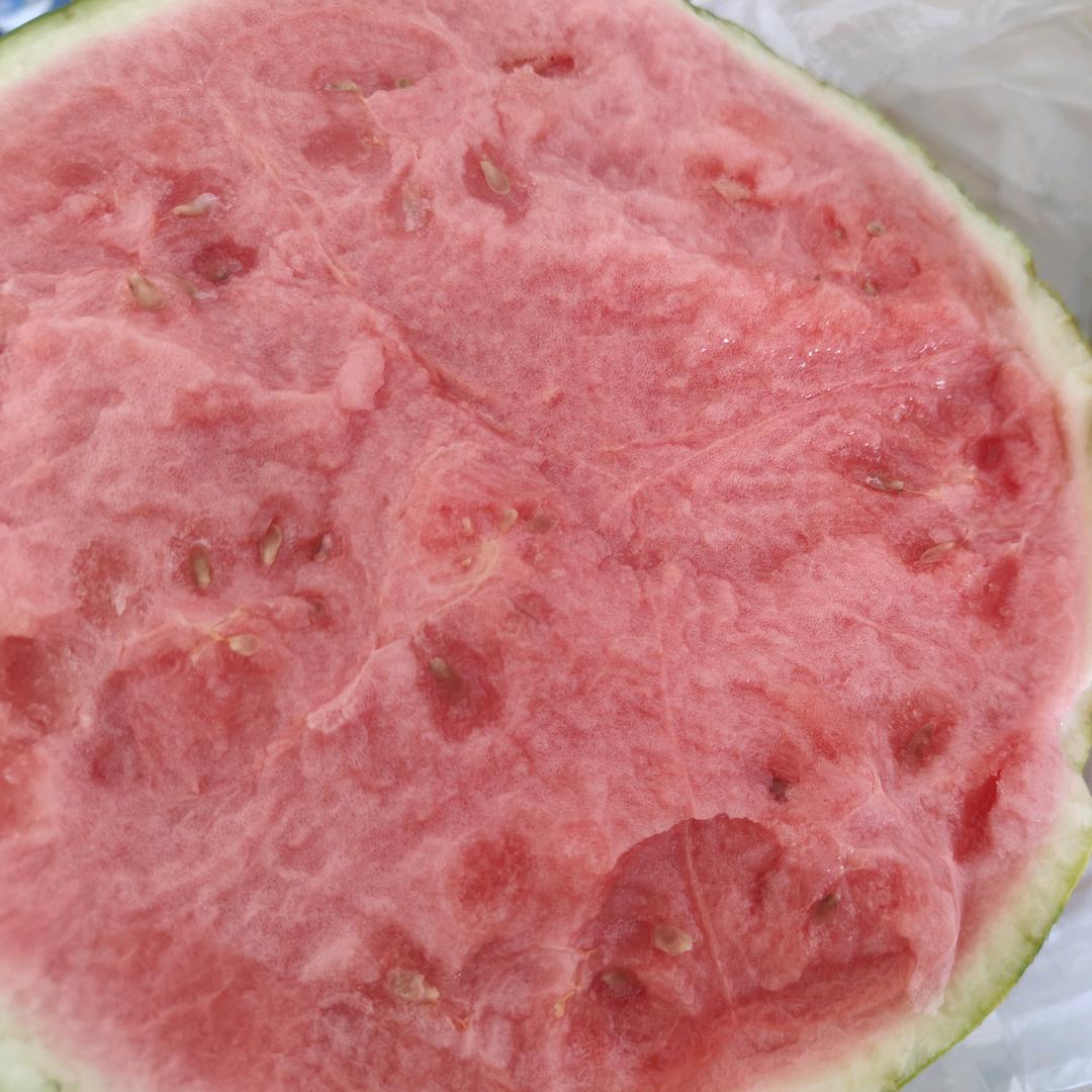 welope 烟台山探险岛— 小橙