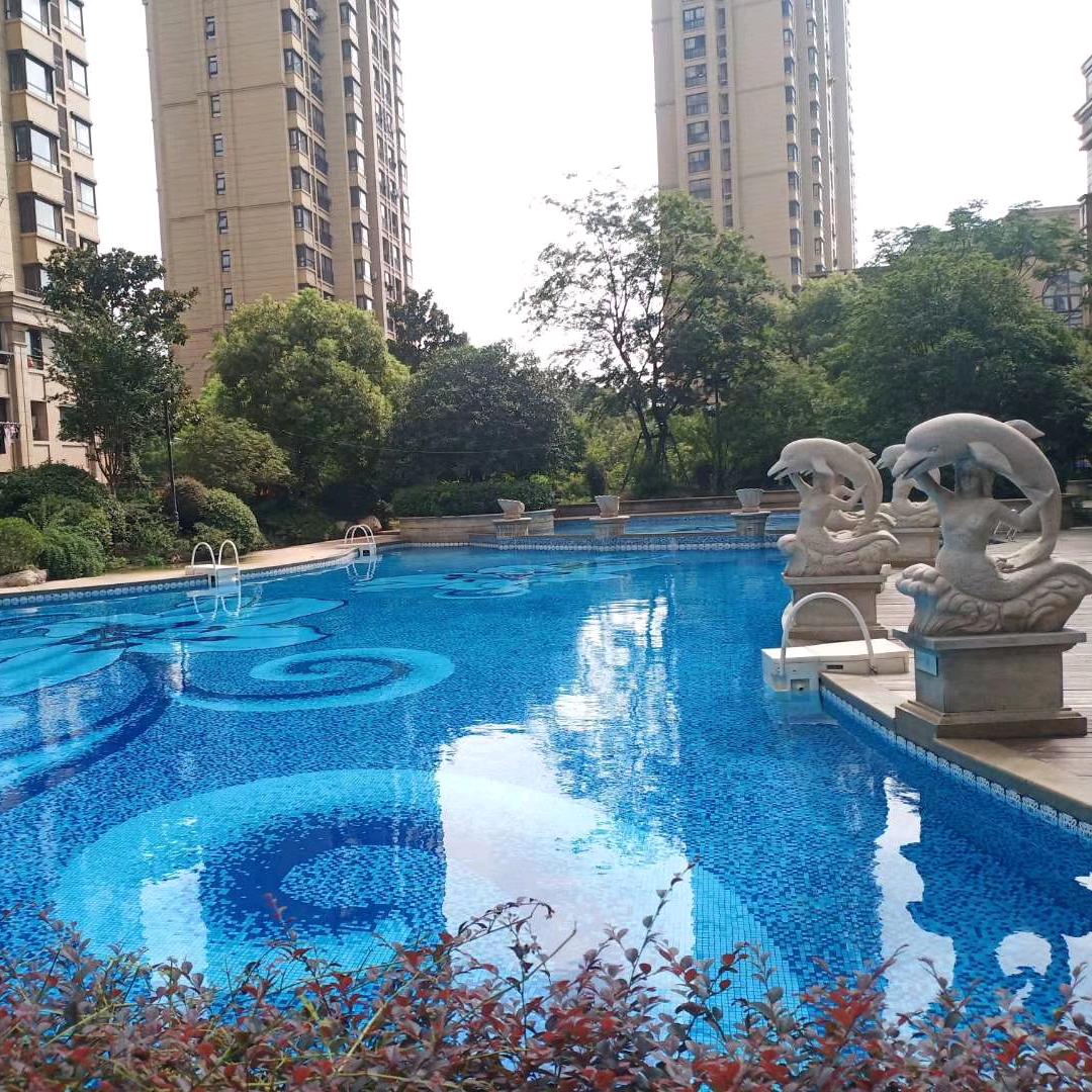 双汇国际游泳池官方号