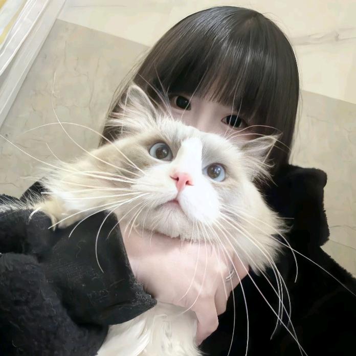 芒果.