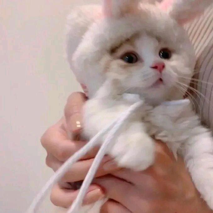 小新✨