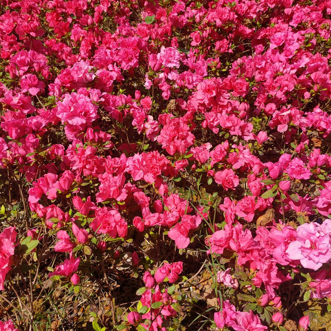 大千世界，无奇不有