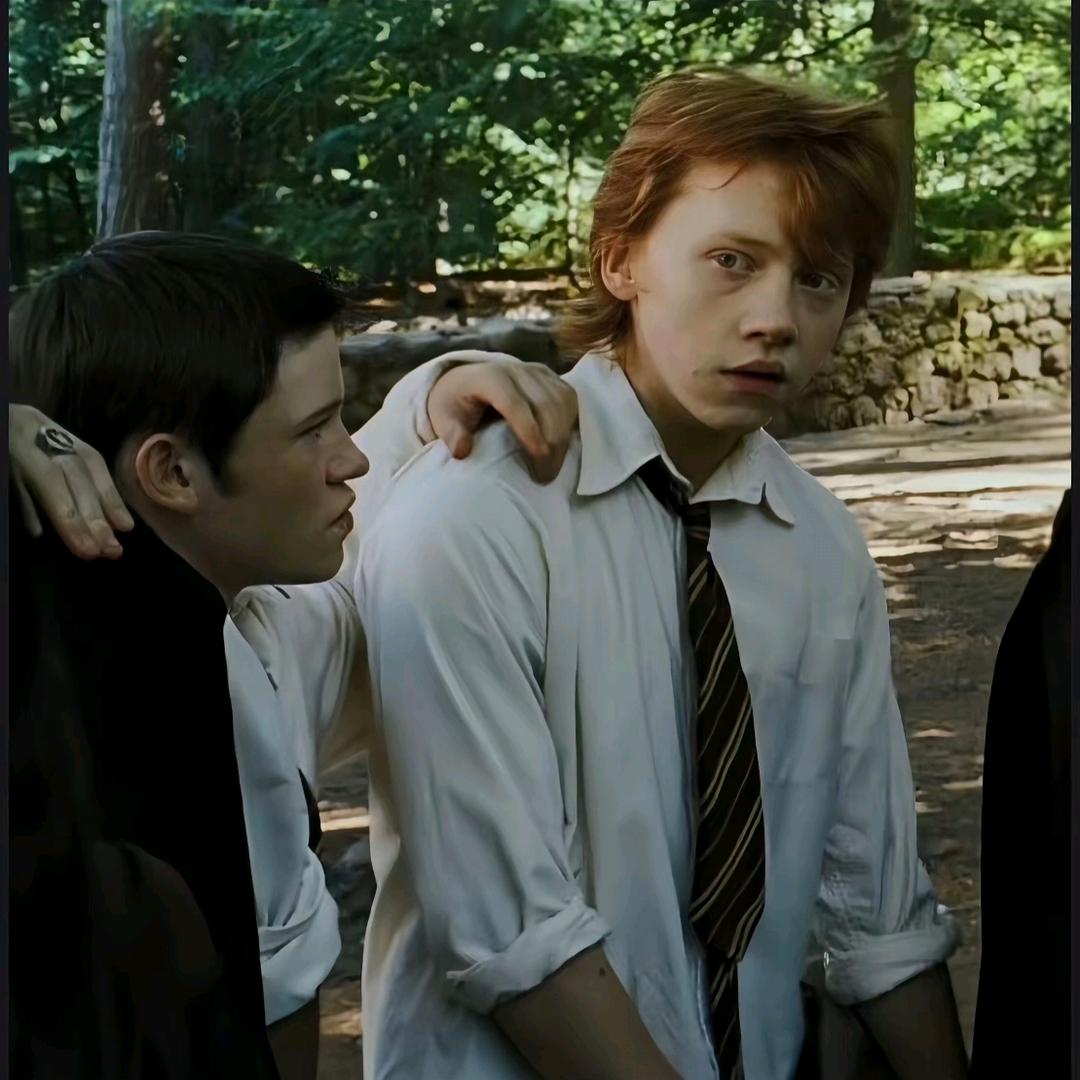 你以为你又行了🙄