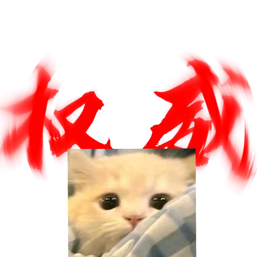 芝士一只猫🐱