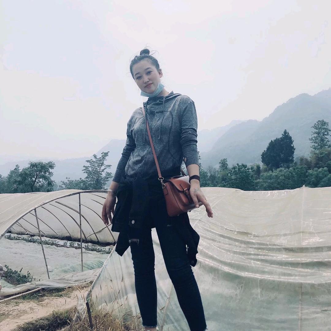 黑玫瑰2（晚8点10分首播）