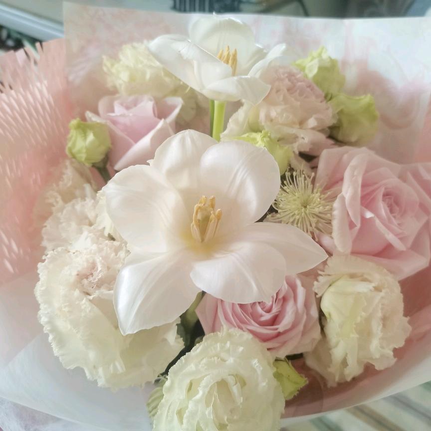 小霞姐姐🌻🌻