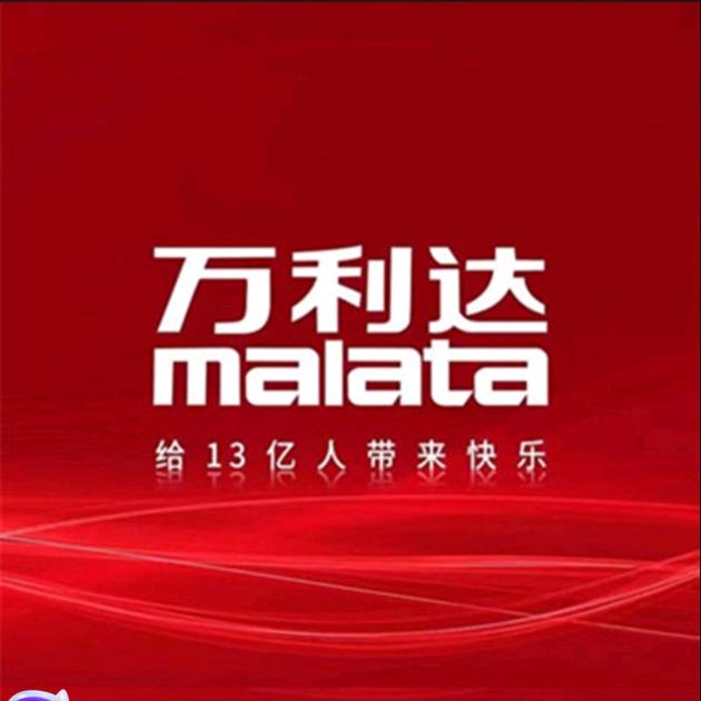 万利达音响品牌店