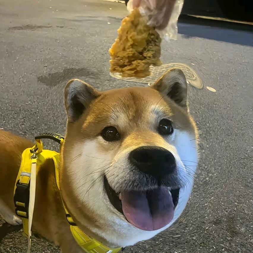 常常因为不够抽象而自卑