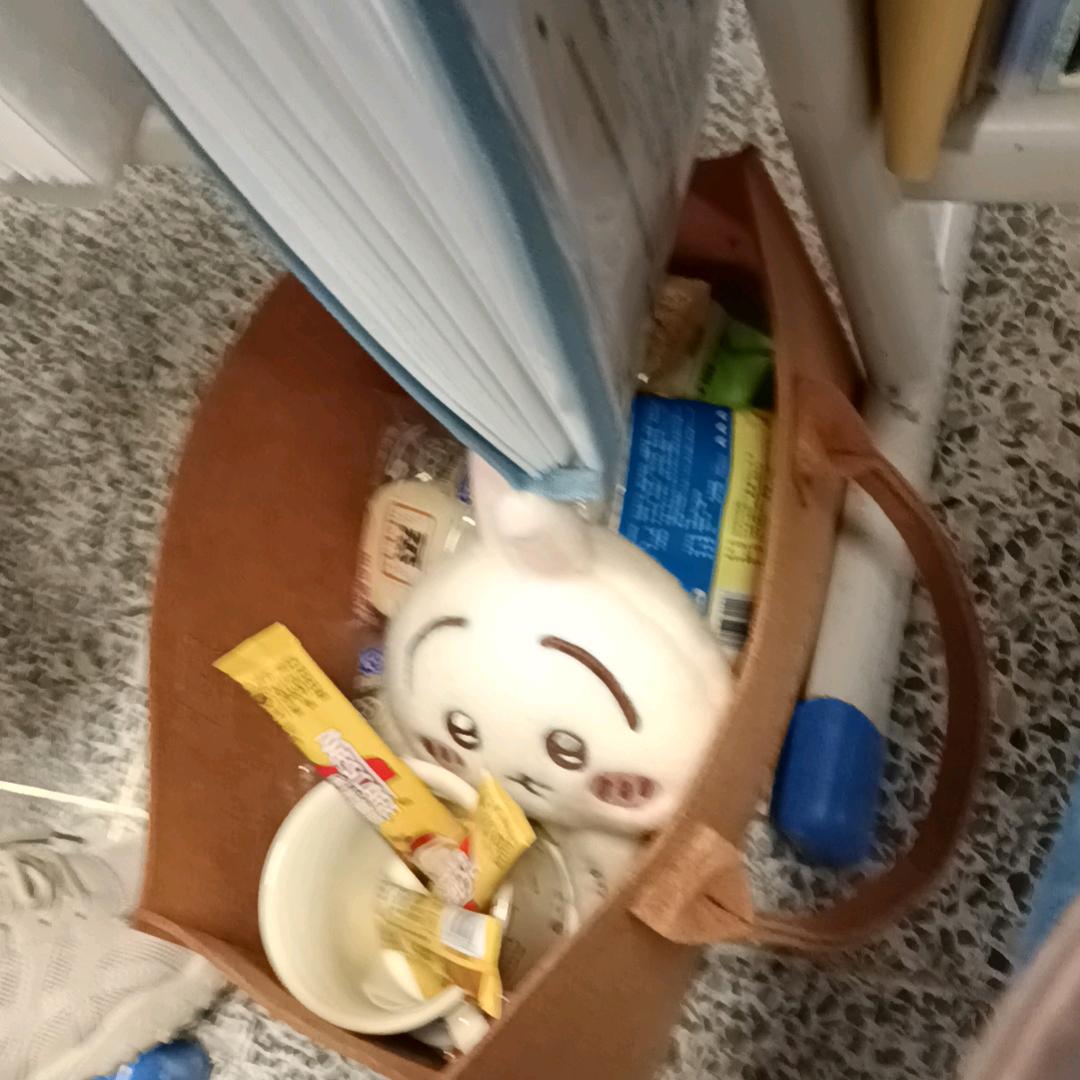 小昭😊