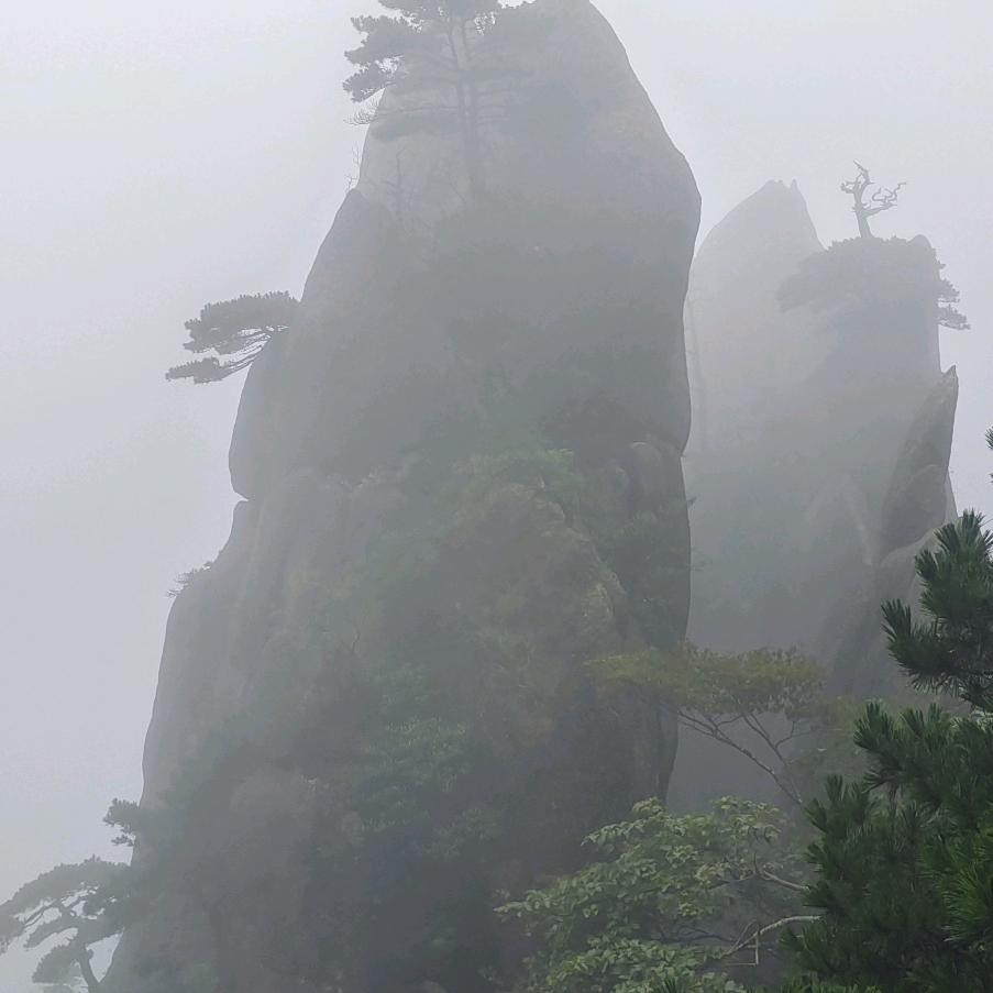 𓆏青蛙王子🤴