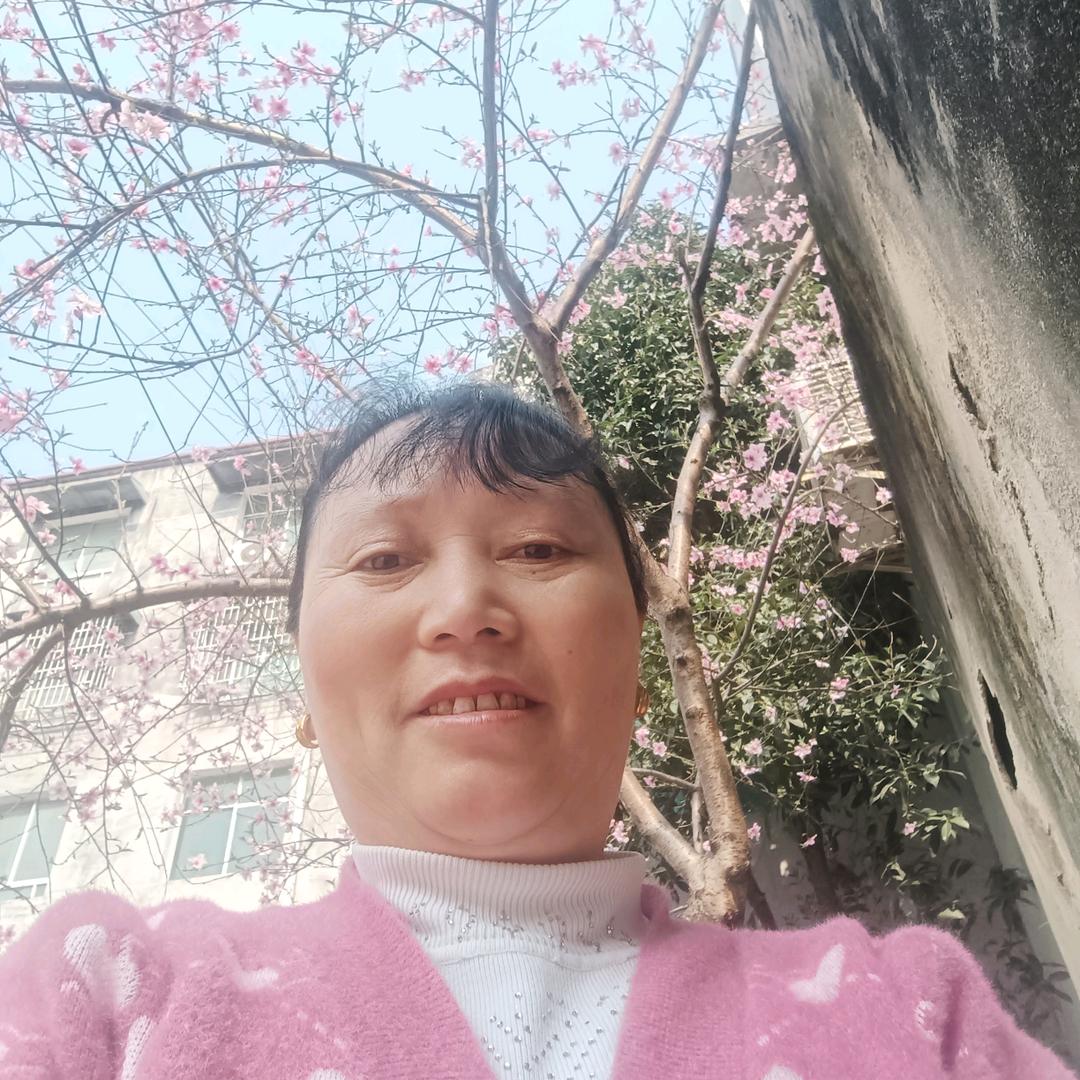 刘金艳