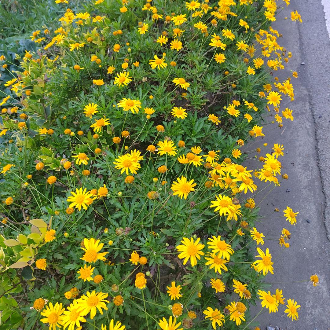 低调做人！做人太难