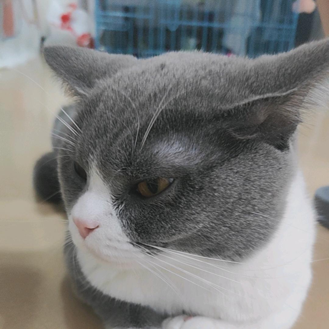 阿夕