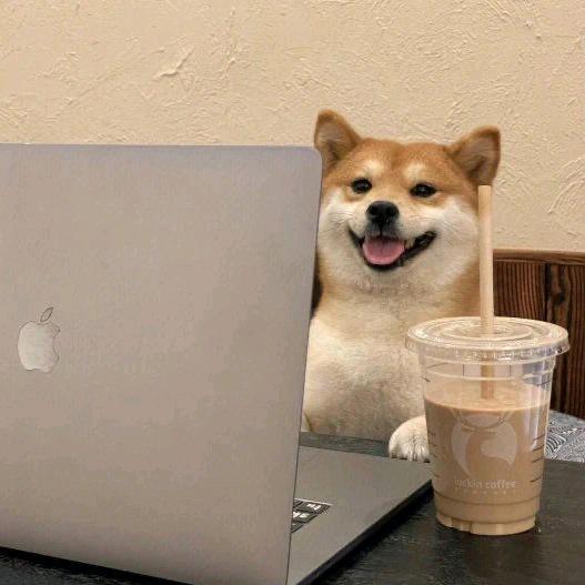 晴天（三角洲行动）