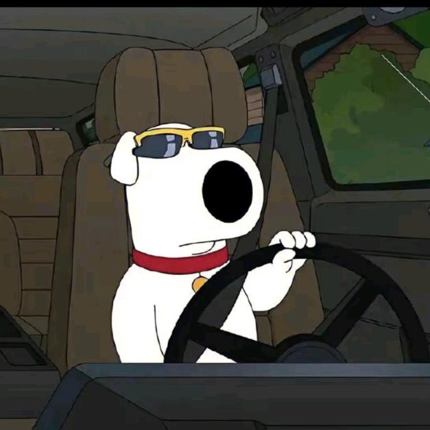 如果我能活到一千岁