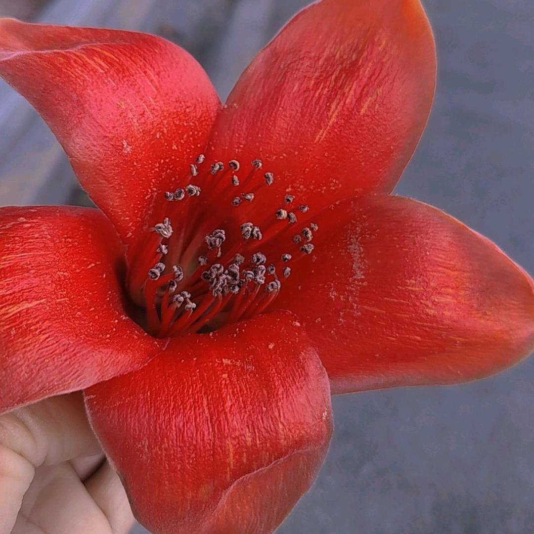 王后余生开心就好🌹🌹🌹