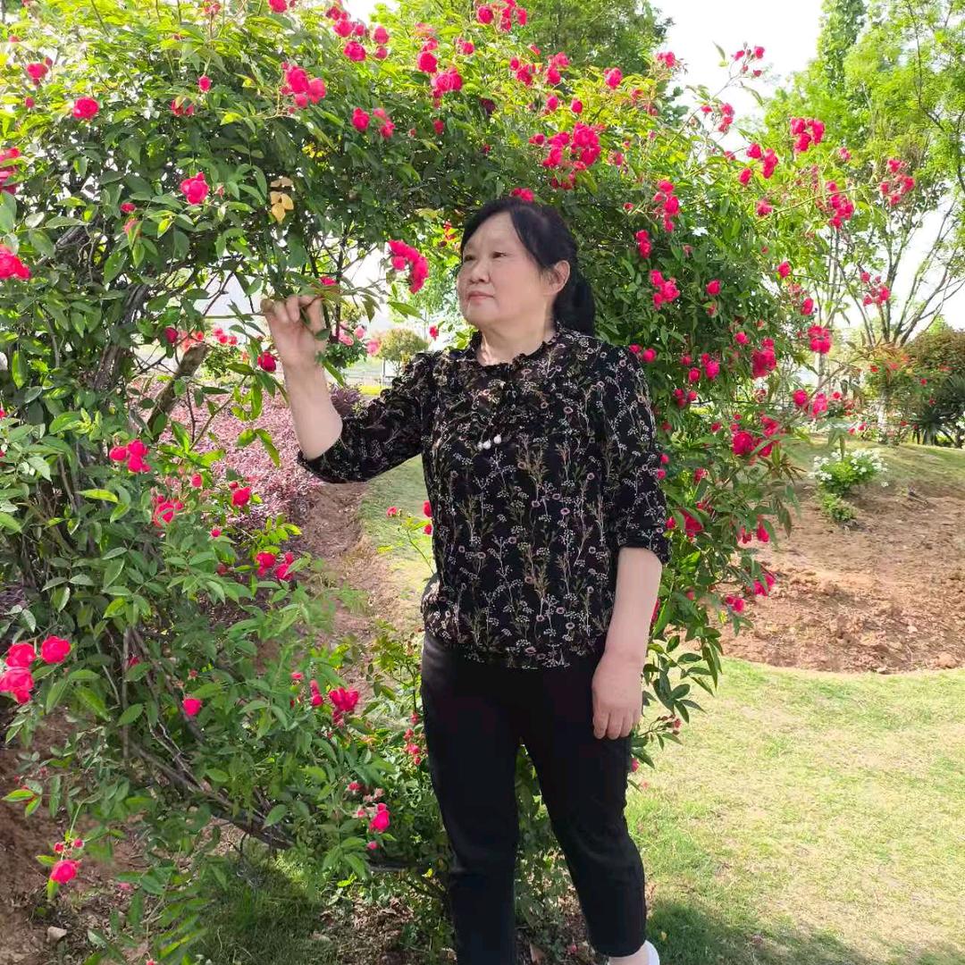 芬芬