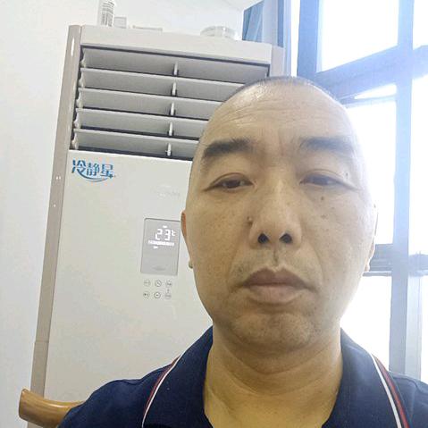 小小鸟