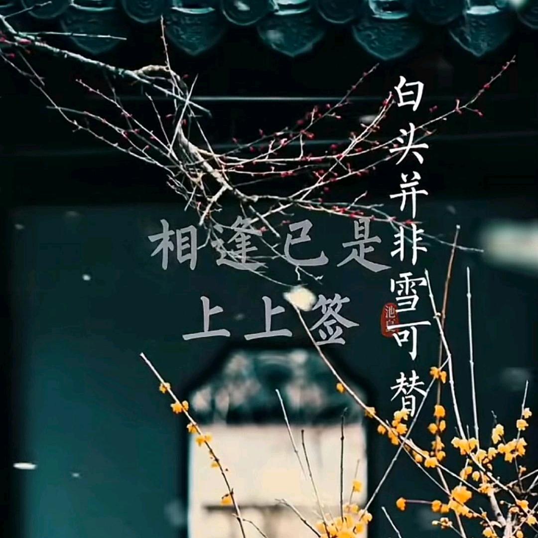 醉了就睡觉起