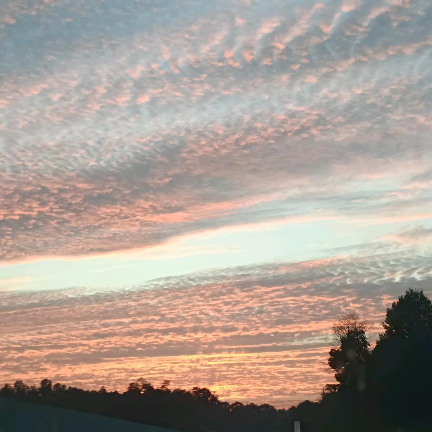 ♡ۣۖิ 小文哥