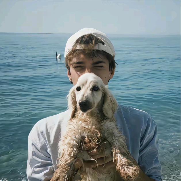 李苔