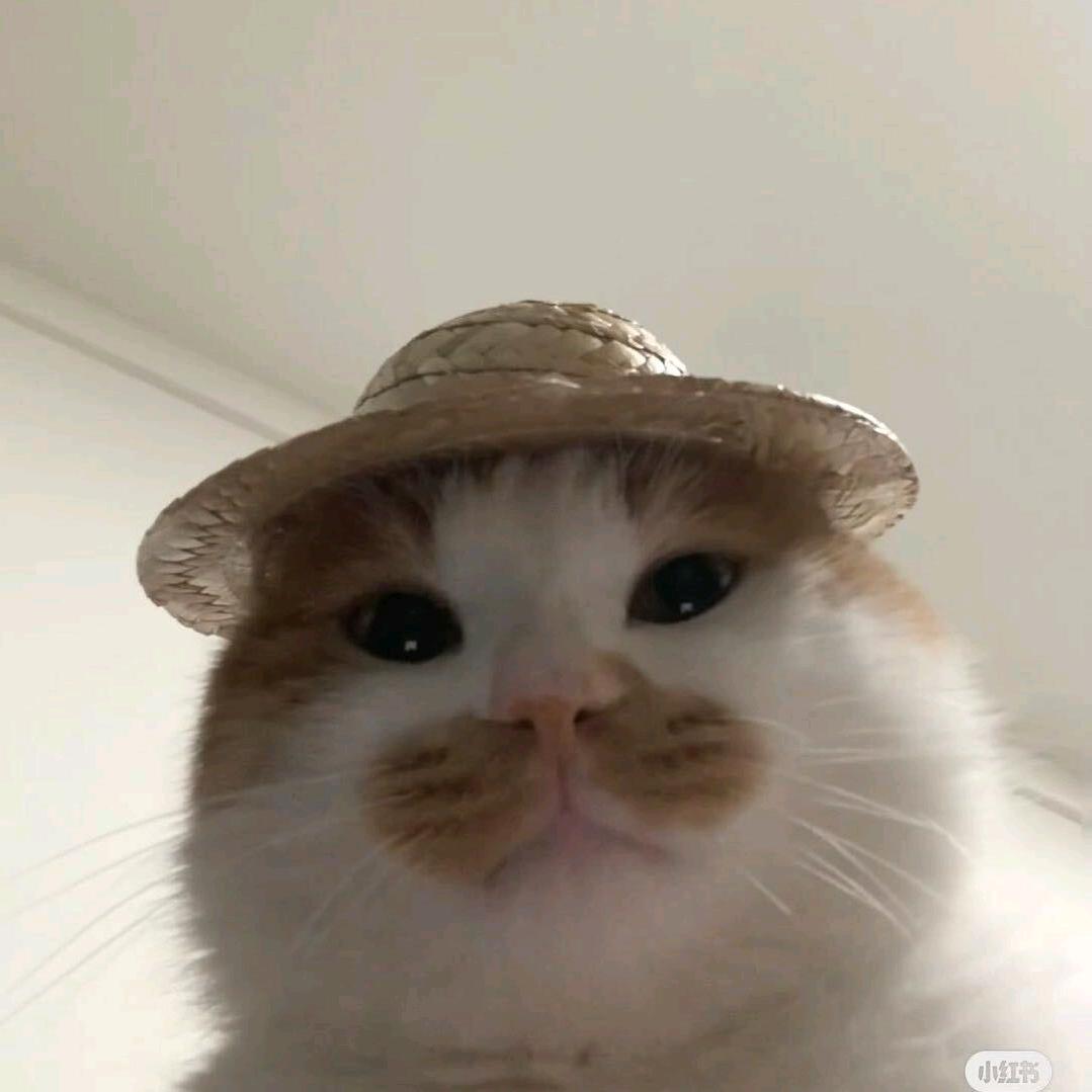 大王