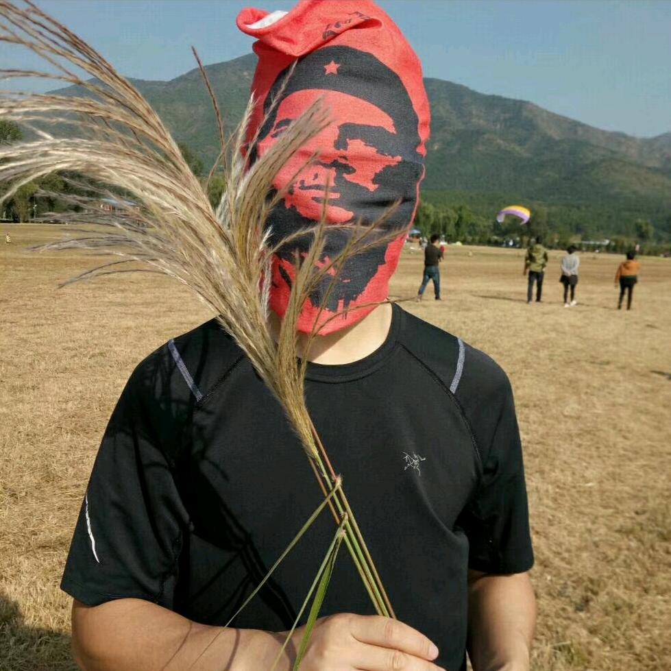 苗正红