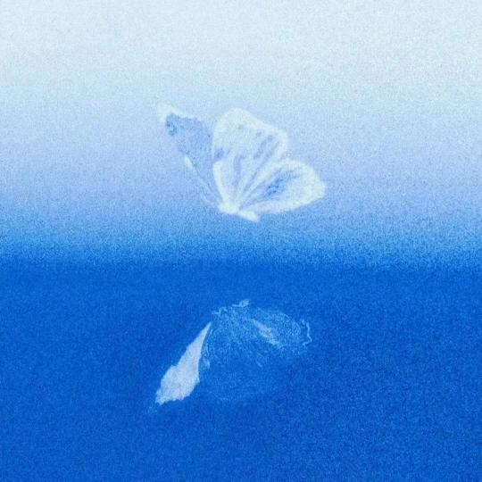 垚香菜叶