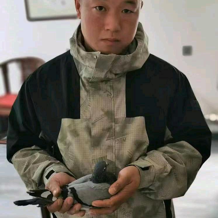 ，