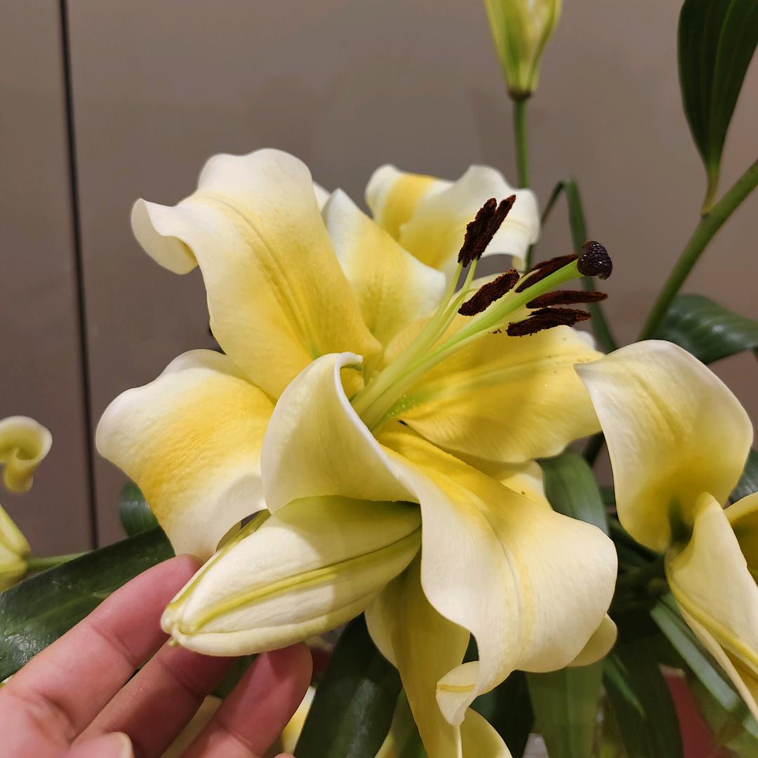 小点点