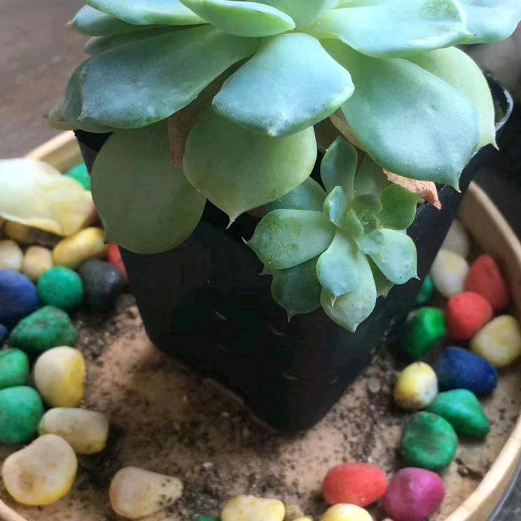 时光总是
