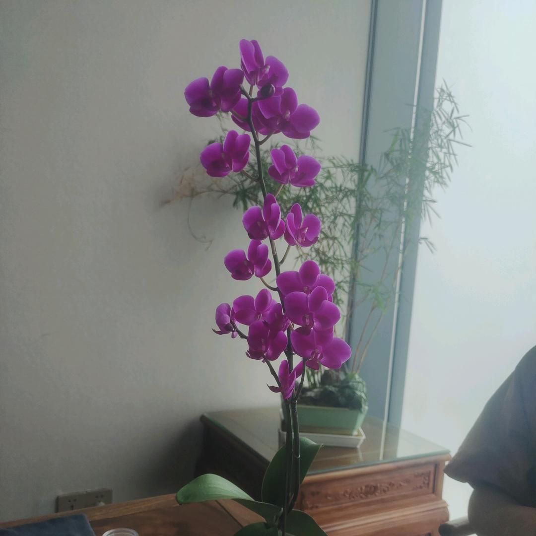 阿轩