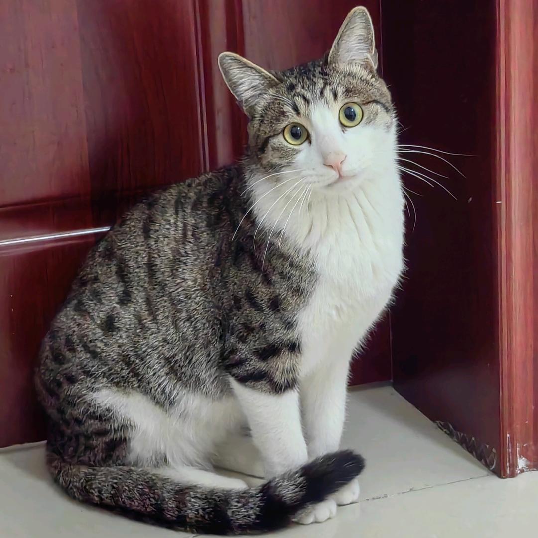 墩墩的蹦跶日记