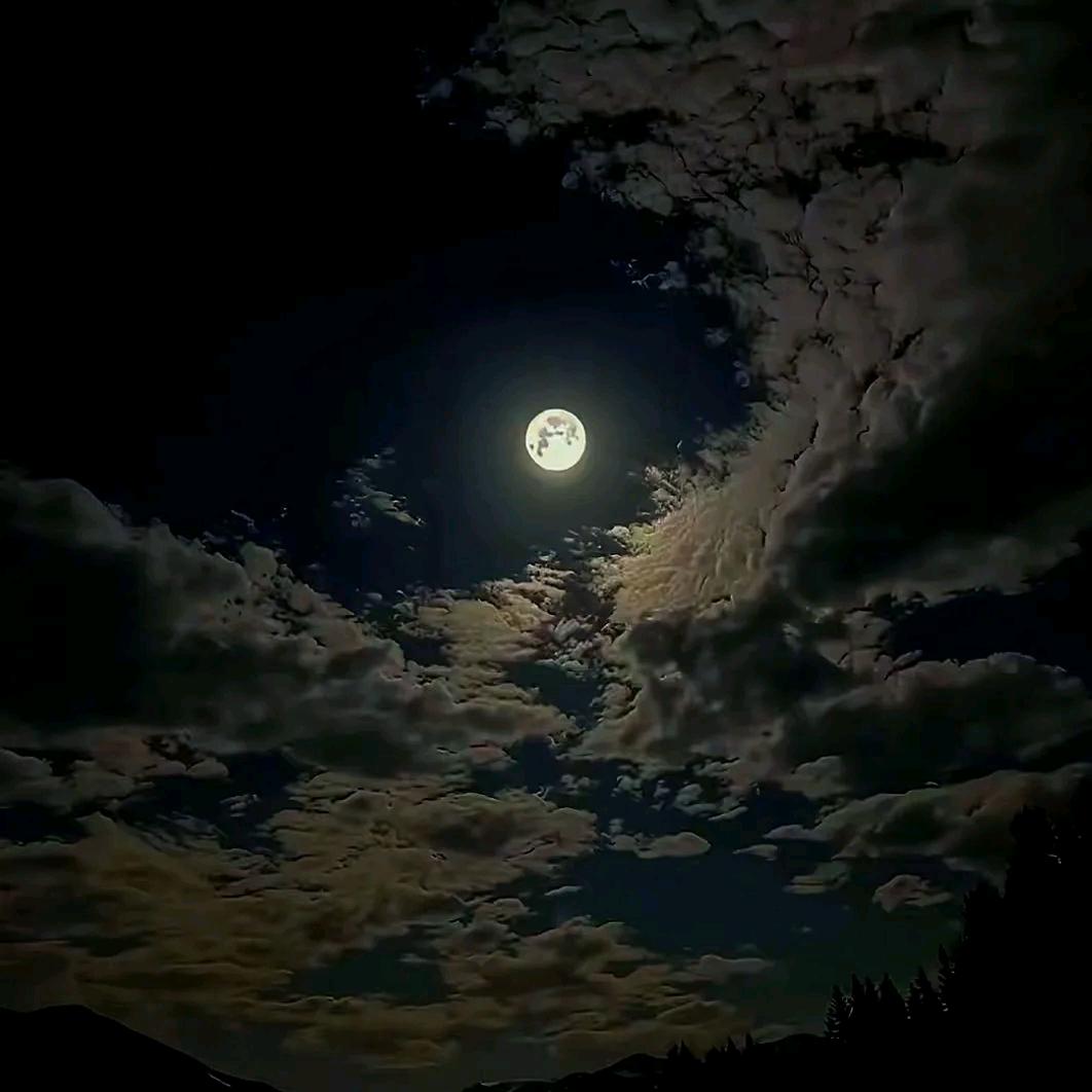 清醒.（汽车租赁 以租代购）