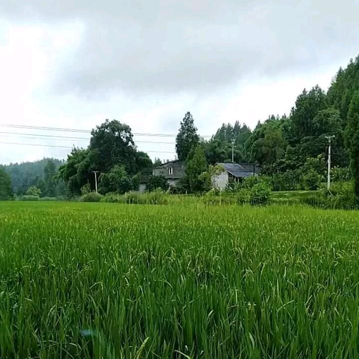 开心  每一天