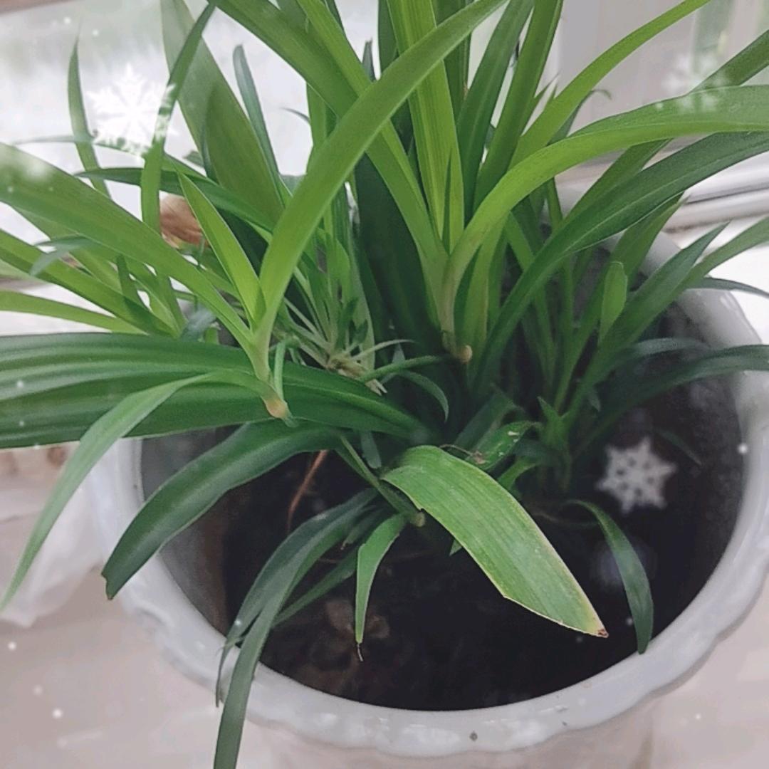 稳重