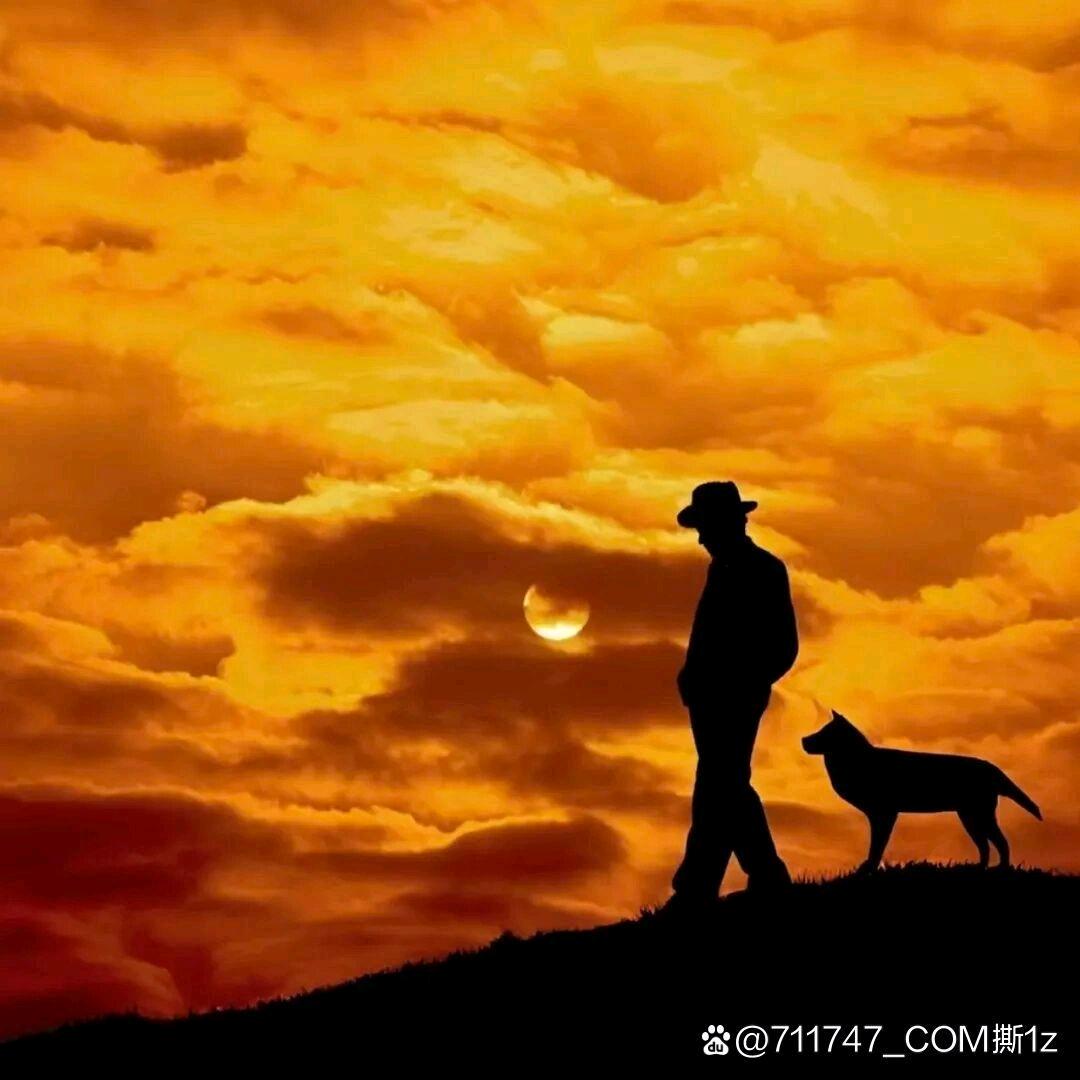 陌离