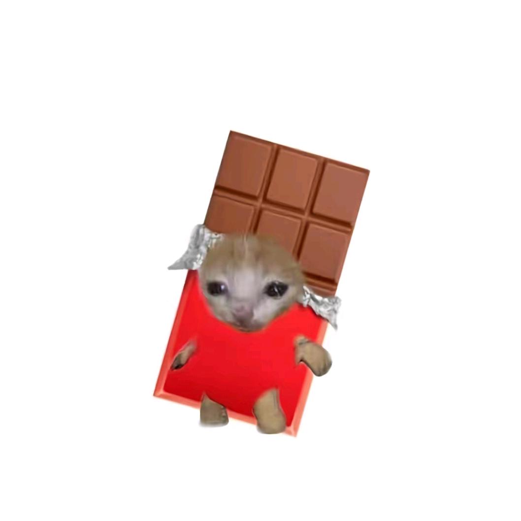 摆烂小喵
