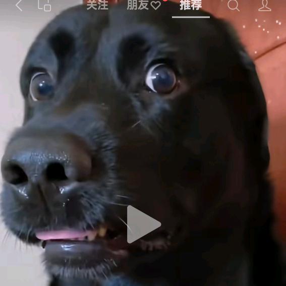 潭弯十二队