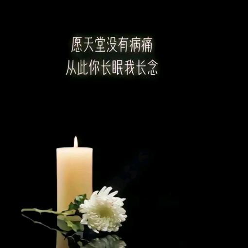 💔💔💔意难平💔💔💔