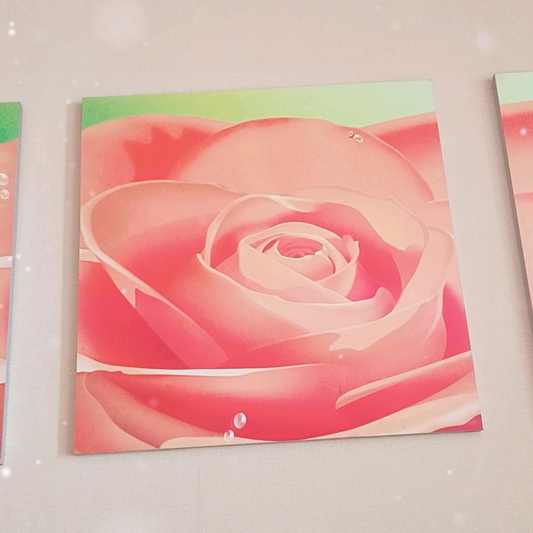 珊珊