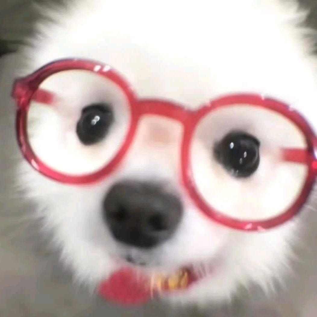 绿色的小熊