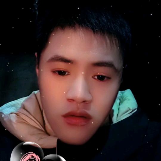 花舞人间王少