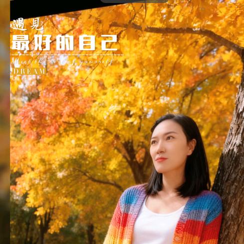 风无痕