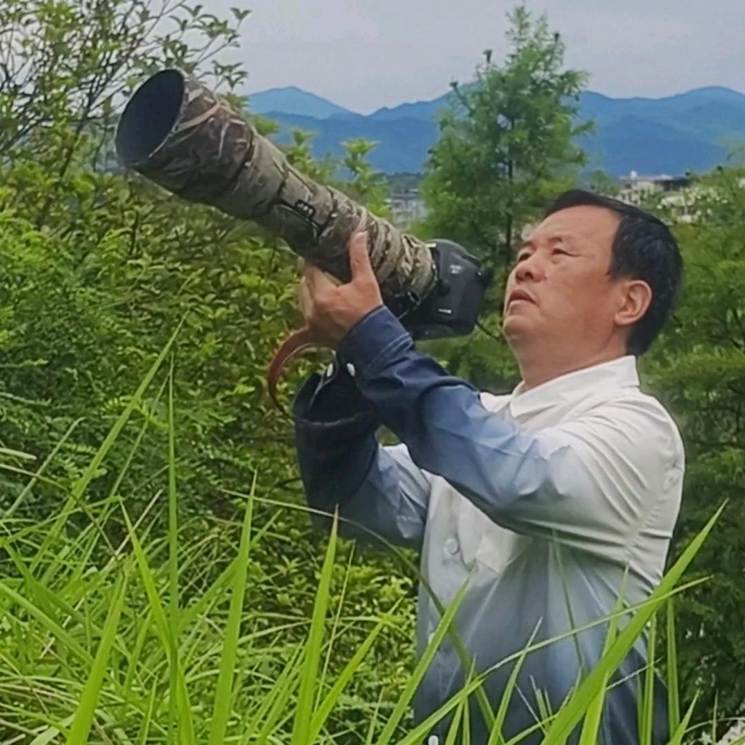 岸哥墨影